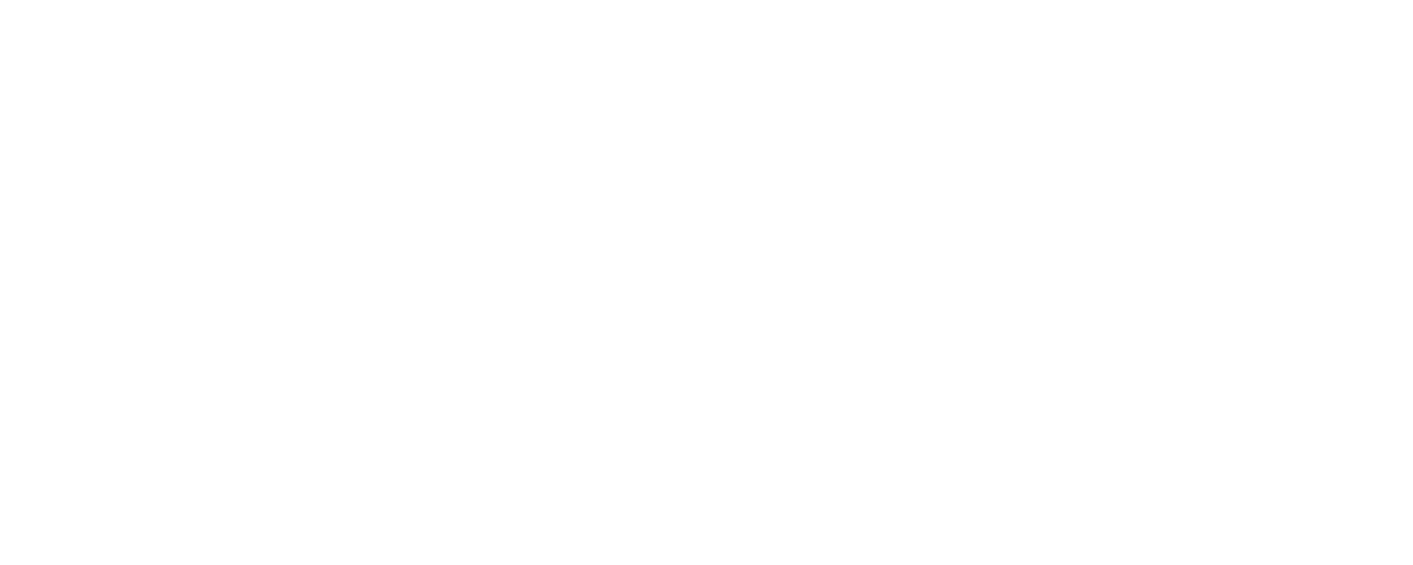 Hotel Zuiver
