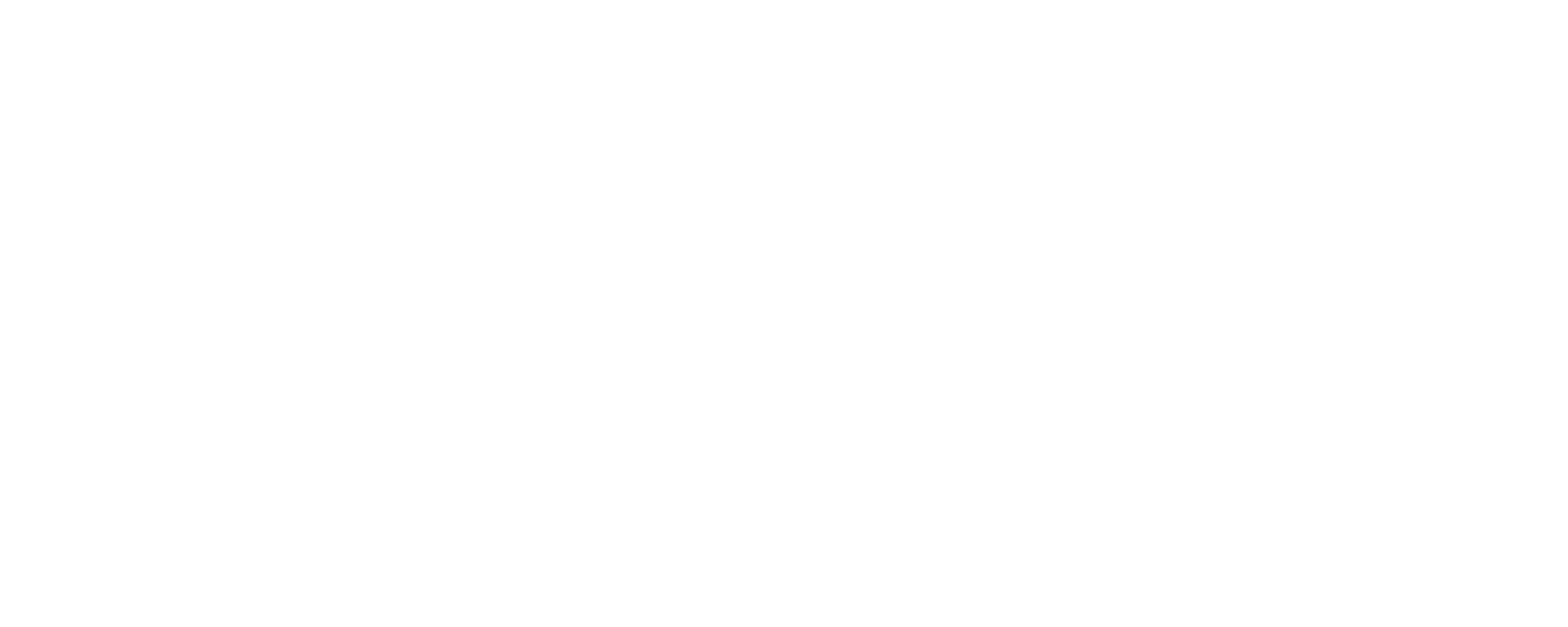 Cityguys
